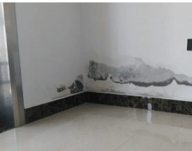 花都周邊專業(yè)防水補(bǔ)漏服務(wù) 全面解決廁所漏水、窗臺滲水與衛(wèi)生間維修難題